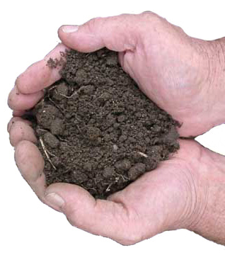 soil